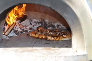 Wood fired pizza oven